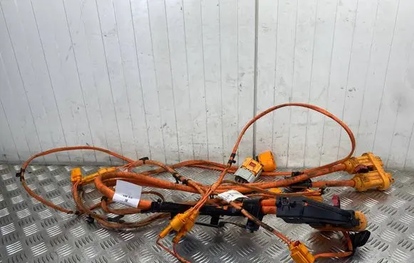 Cupra Born Wiring harness 1EA971015BC 1EA015V3
