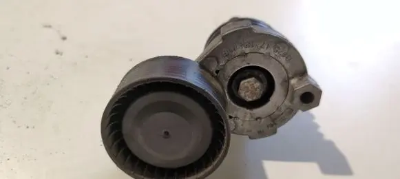 Nissan Juke I F15 Alternator belt tensioner 117506193R