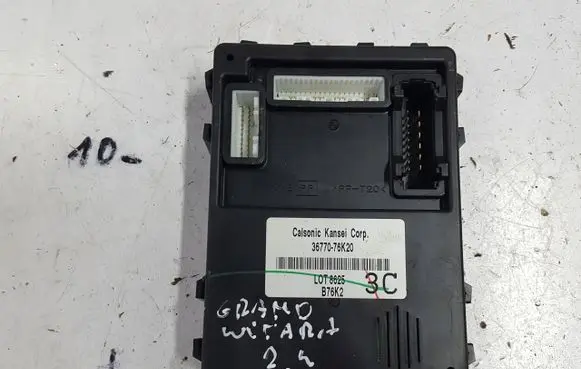 Suzuki Grand Vitara II Central body control module 3677076K20