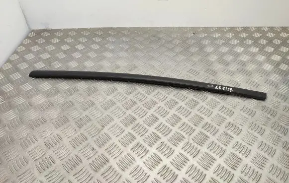 Ford Ecosport Rear door glass trim molding