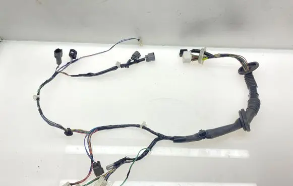 Front door wiring loom
