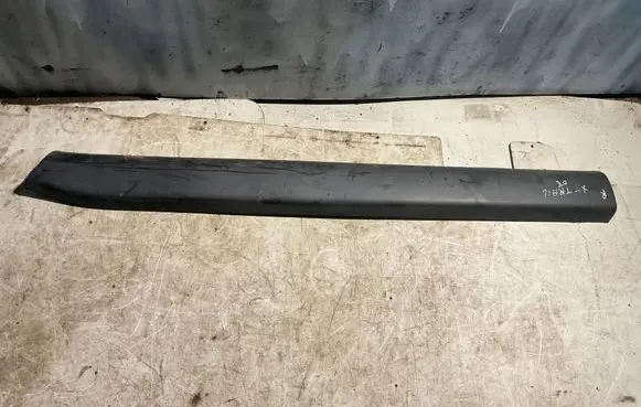 Nissan X-Trail T31 Front door trim (molding) 80876JG00A