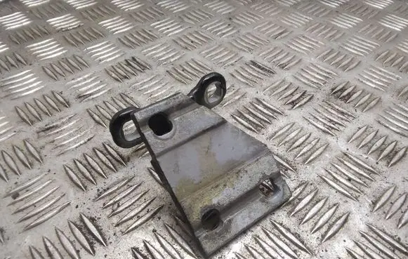 Volvo C30 Front door lower hinge 31218484