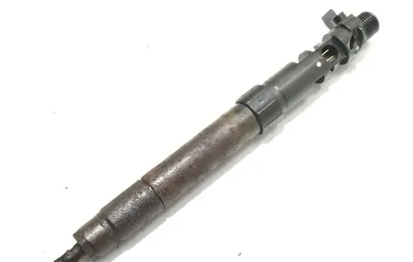Ford C-MAX II Fuel injector EMBR00101D 9686191080