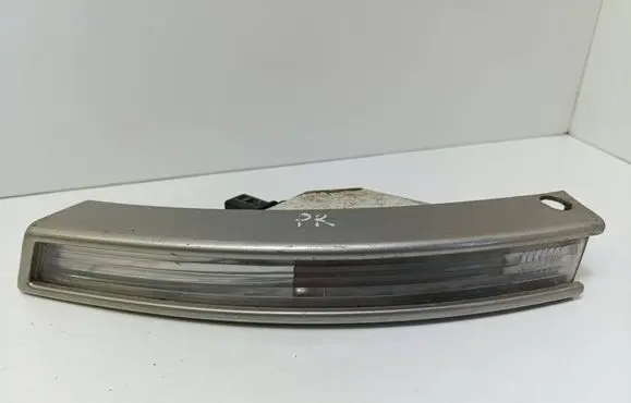 Volkswagen PASSAT B6 Front indicator light 3C0953041H