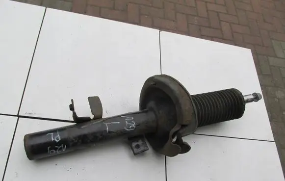 Ford C-MAX II Rear shock absorber with coil spring 