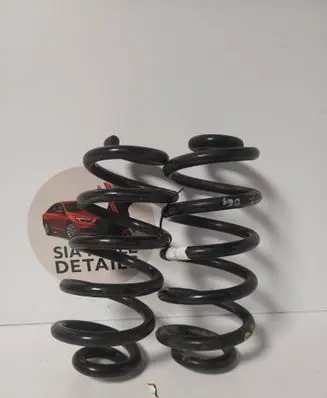 Rear coil spring