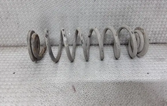 Skoda Octavia Mk2 (1Z) Rear coil spring