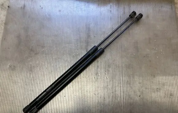 Tailgate/trunk strut/damper