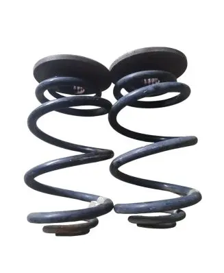 Chevrolet Trax Rear coil spring 9510710