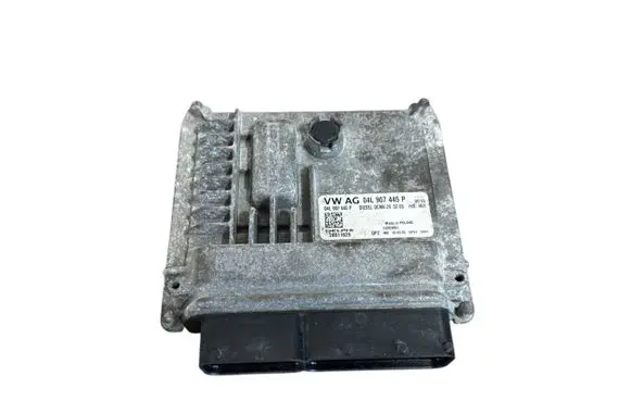 Volkswagen Crafter Engine control unit/module 04L907445P 28611625