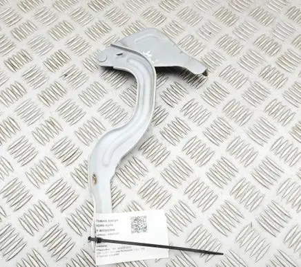KIA Xceed Engine bonnet/hood hinges 66910J7000