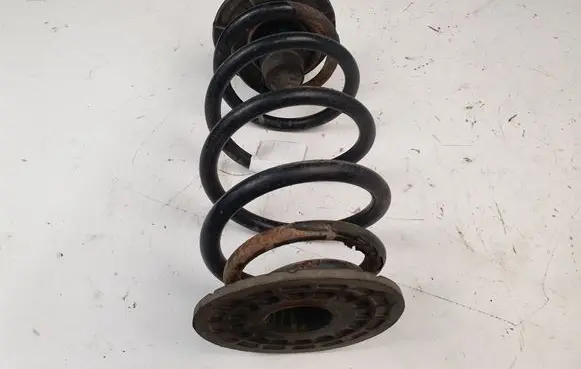 Rear coil spring