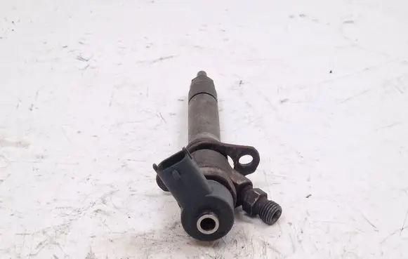 Volvo V70 Fuel injector 8658751