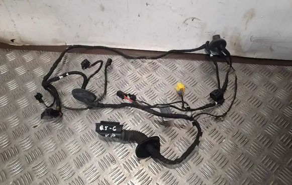 Audi Q5 SQ5 Front door wiring loom 8R0971029BB