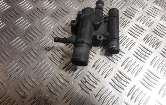 Thermostat/thermostat housing