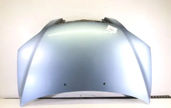 Engine bonnet/hood