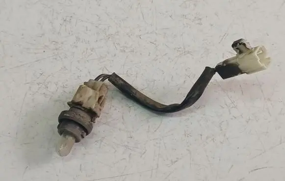 Subaru B9 Tribeca Rear tail light bulb 
