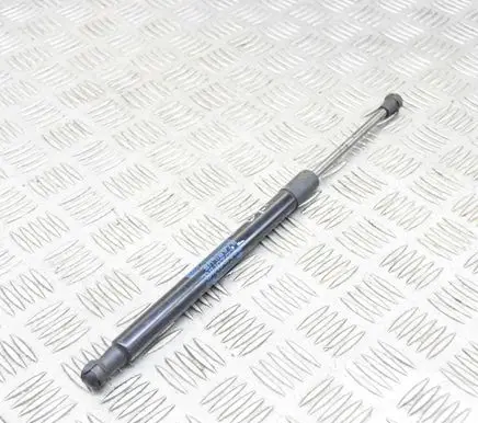 Tailgate/trunk strut/damper