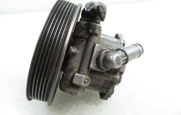 Volkswagen Transporter - Caravelle T4 Power steering pump 1146310010