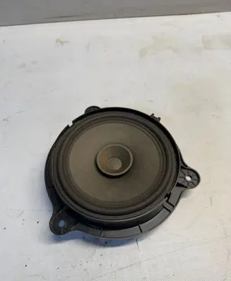 Front door high frequency speaker