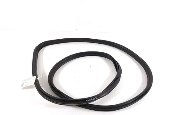 Mini Clubman F54 Front door rubber seal 7344159