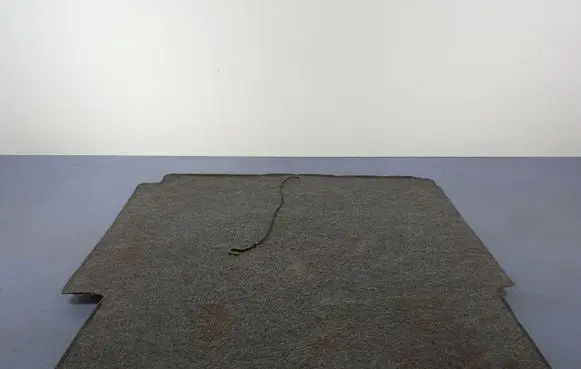 Honda Accord Front floor carpet liner 