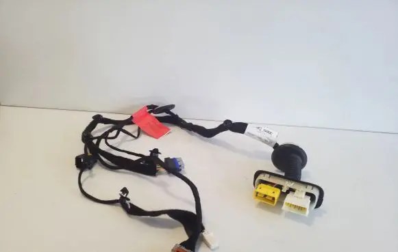 Front door wiring loom