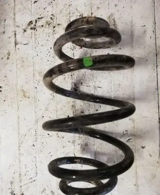 Volkswagen PASSAT B5.5 Rear coil spring NOCODE