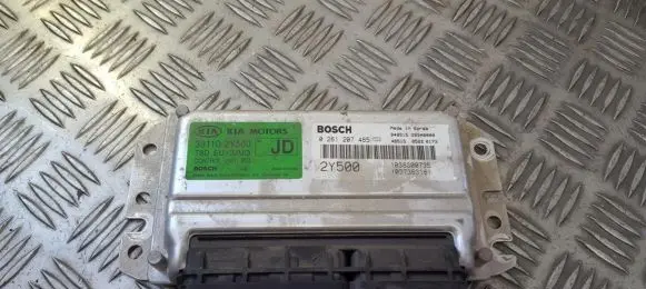 KIA Carens I Engine control unit/module 391102y500