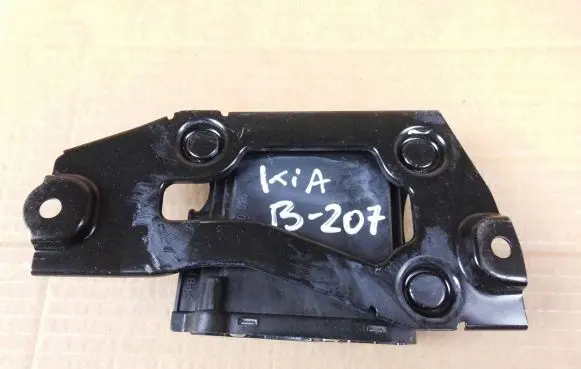 KIA Stinger Transfer box differential control unit 954474J110