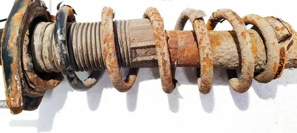 Toyota Corolla Verso AR10 Rear coil spring 