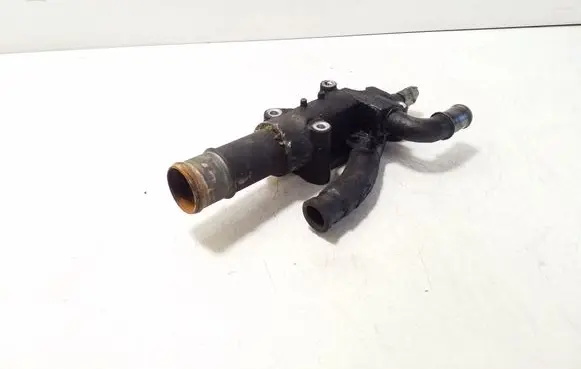 Thermostat/thermostat housing