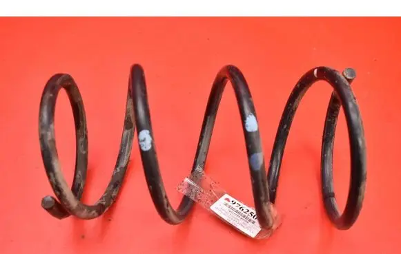 Front coil spring