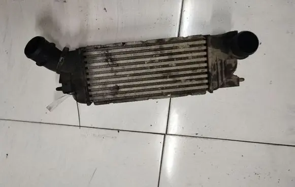 Peugeot 407 Intercooler radiator IA1095