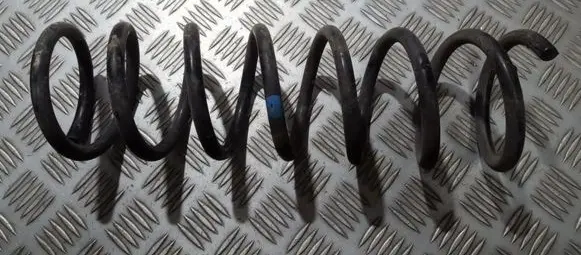 Ford Focus Rear coil spring
