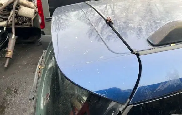 Toyota Previa (XR30, XR40) II Tailgate/trunk spoiler 