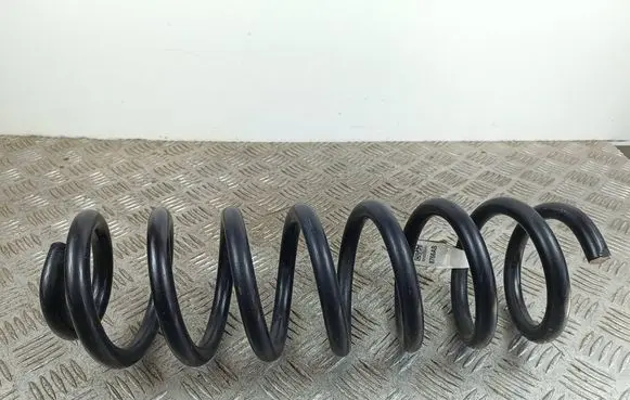Rear coil spring
