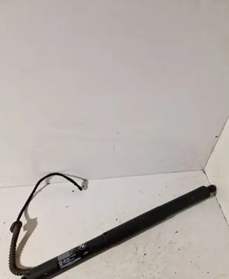 Tailgate strut