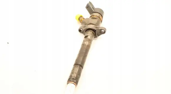 Citroen Xsara Picasso Fuel injector 0445110259