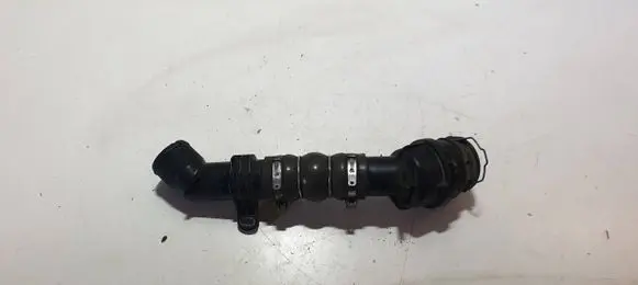 Renault Clio V Intercooler hose/pipe 144607512R