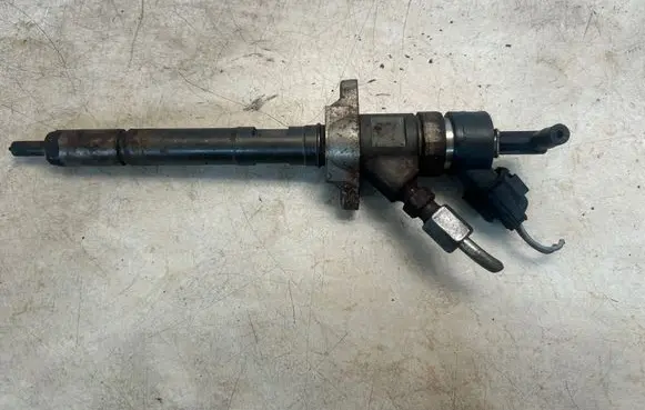 Citroen C4 I Fuel injector 0445110239 606680