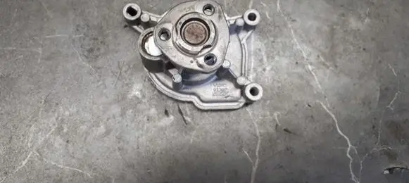 Volkswagen Golf V Water pump vkpc81307