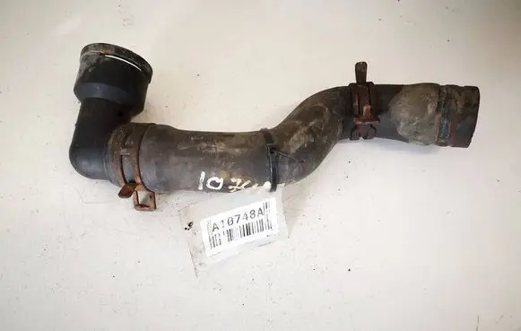 Engine coolant pipe/hose