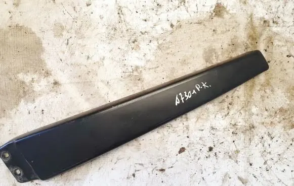 Other front door trim element