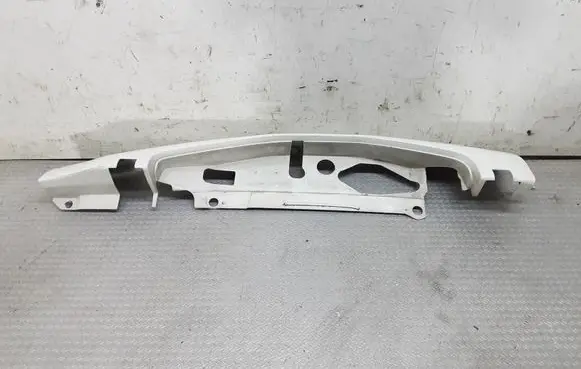 Rear/tail light trim molding