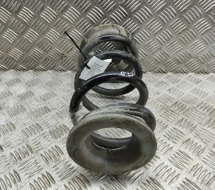 Tesla Model Y Rear coil spring 118847900A