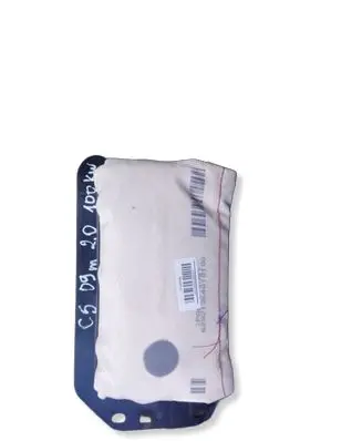 Citroen C5 Passenger airbag 08105081050455 CH102490 FOBL7025412