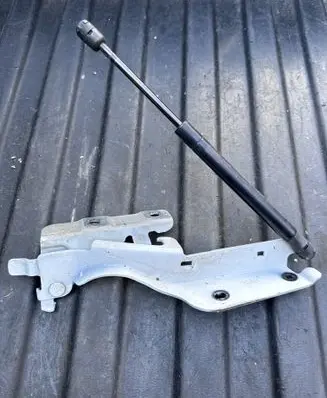 Infiniti FX Engine bonnet/hood hinges 1CAR 24534645312