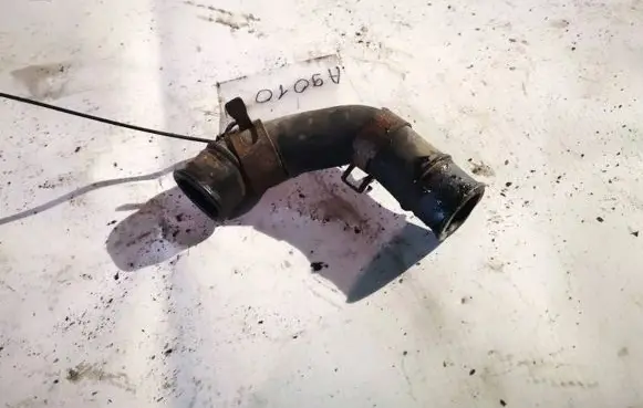SsangYong Rexton Engine coolant pipe/hose 6650100971